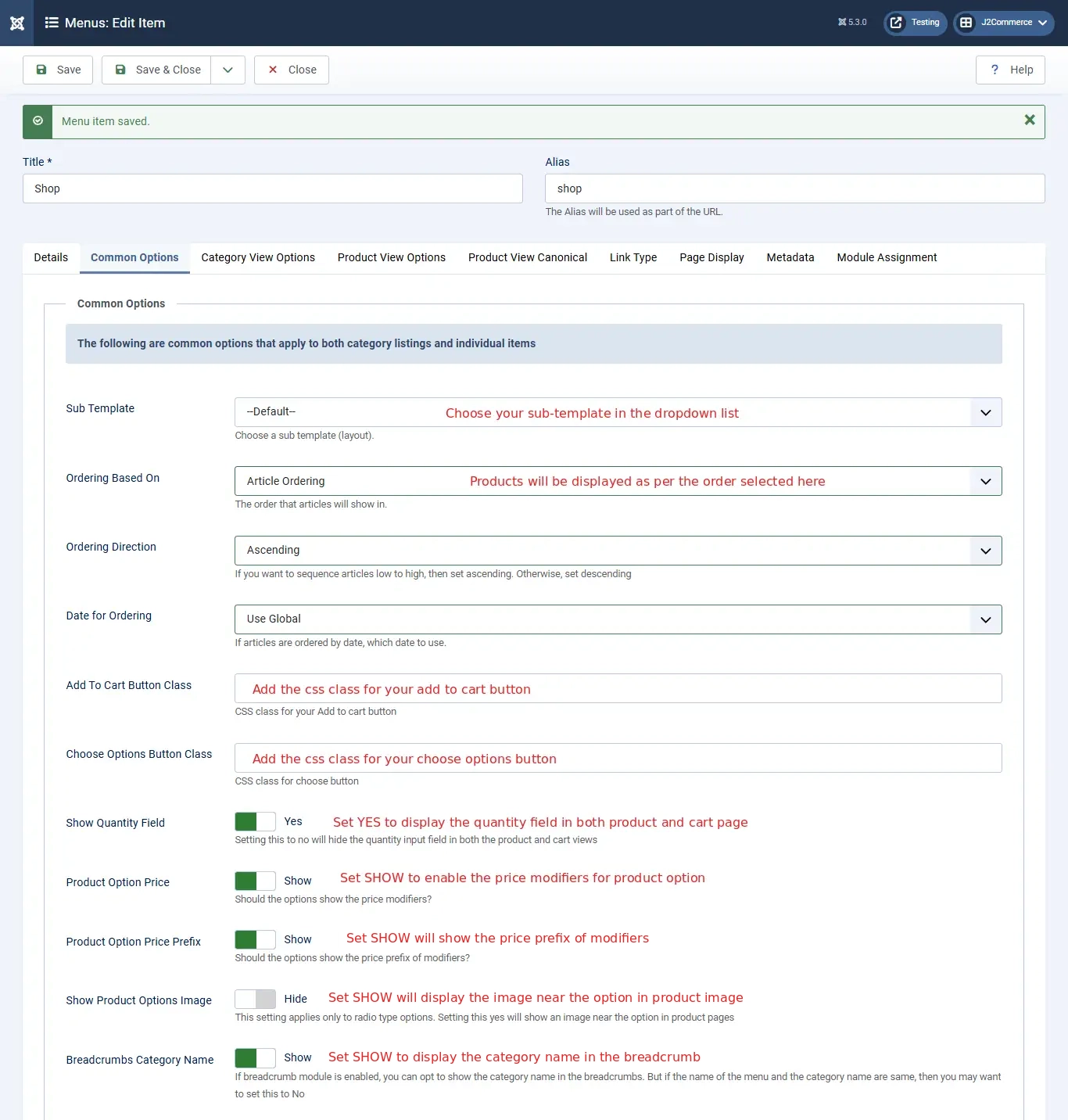 .Layout-common-options-tab
